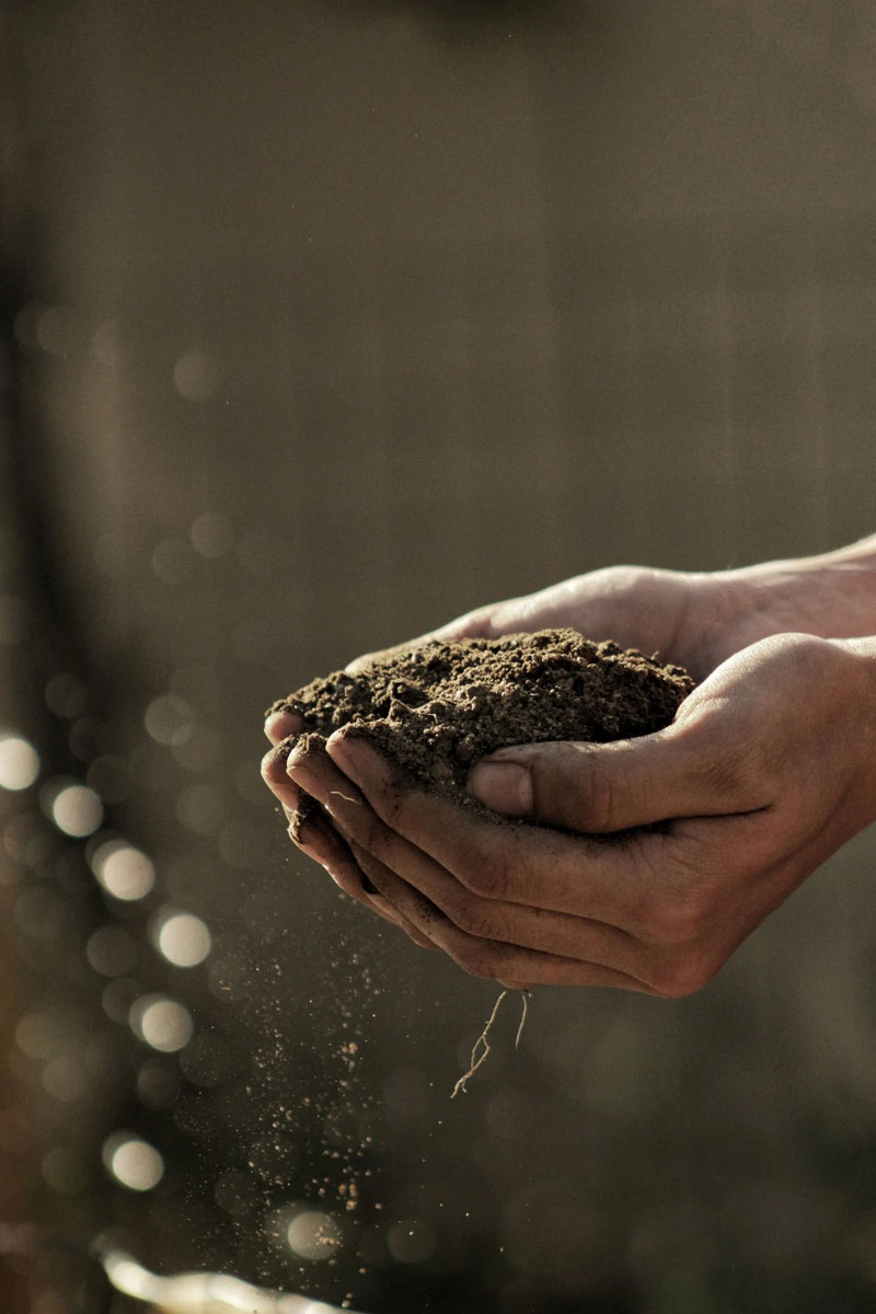 Hands holding a fresh soil sample pulled from a field near Stephenville, Texas