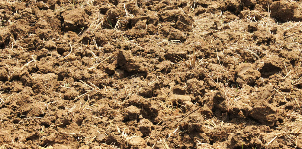 Freshly tilled field ground near Stephenville, Texas ready for a dry fertilizer pass