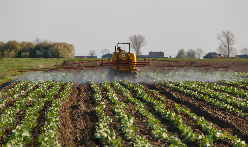 Soil sample being pulled from a field near Stephenville, Texas